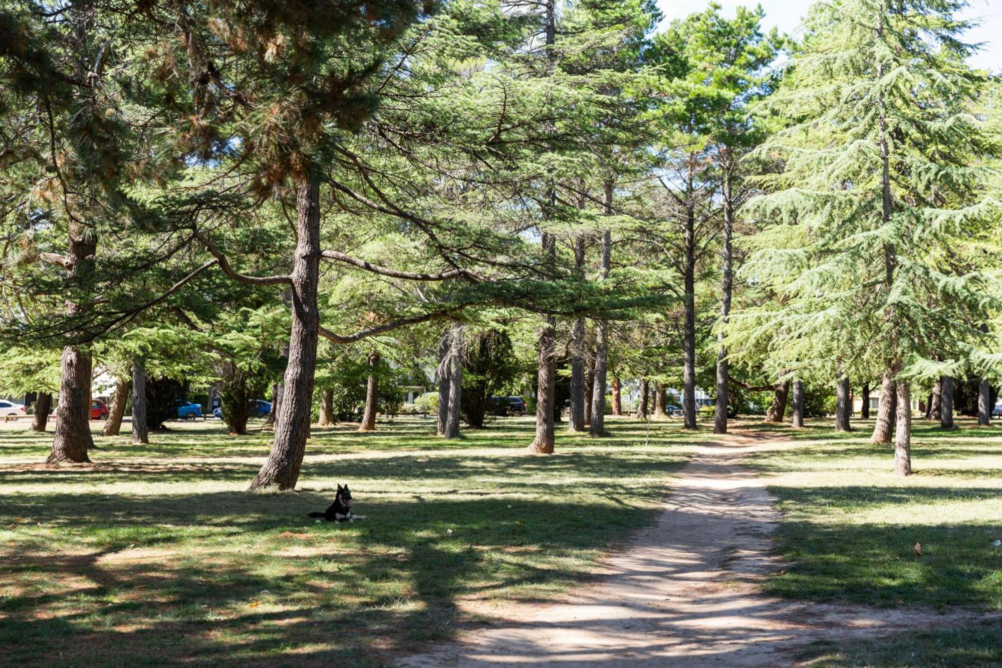 Unwind In Elegance: Your Perfect Braddon * Canberra